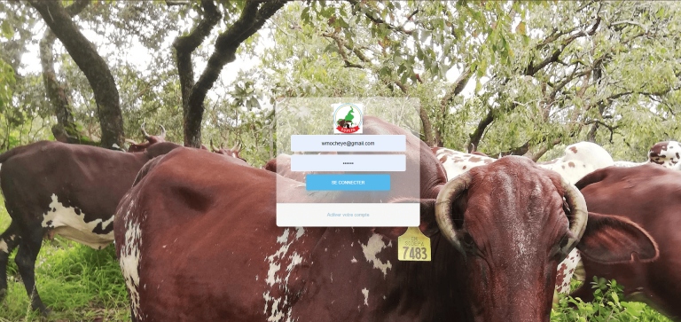 Application web : Mycow
